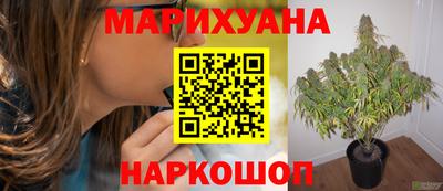 МДПВ Донецк