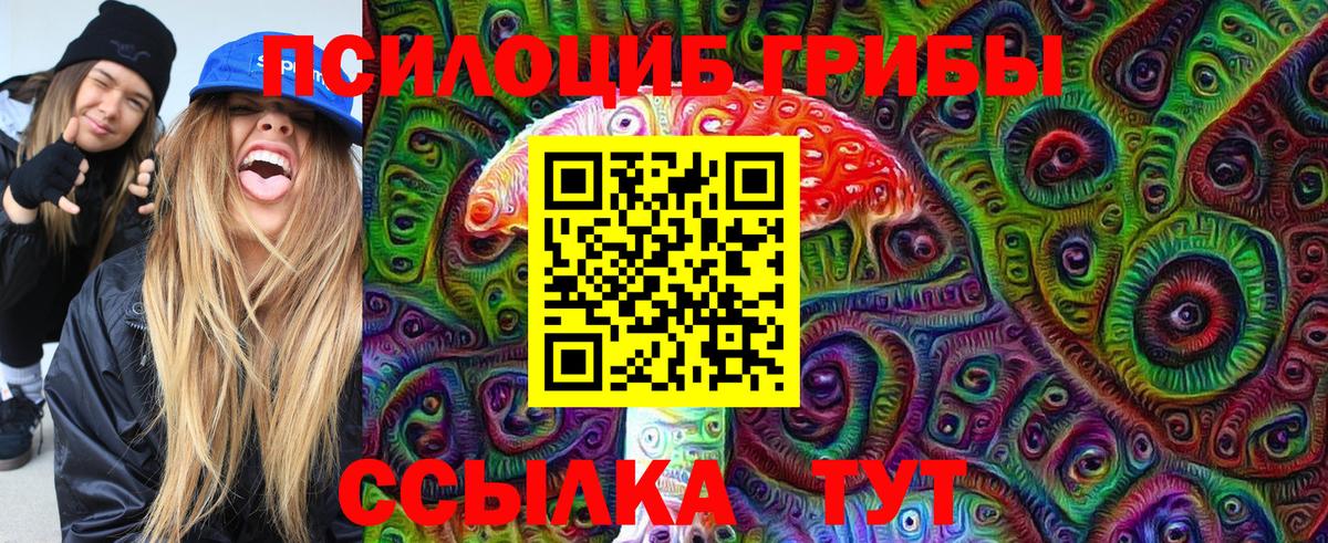 Галлюциногенные грибы Psilocybine cubensis Моздок