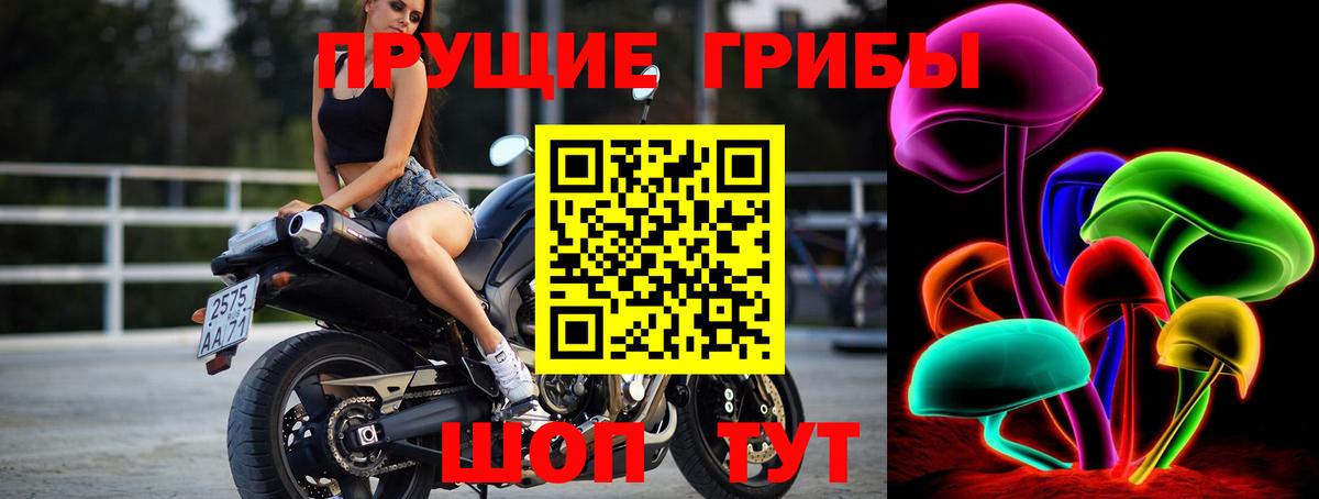 Моздок  Галлюциногенные грибы ЛСД  Вход с VPN  Псилоцибиновые грибы мицелий 